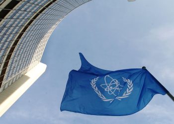 وكالة الطاقة الذرية . صورة. رويترز