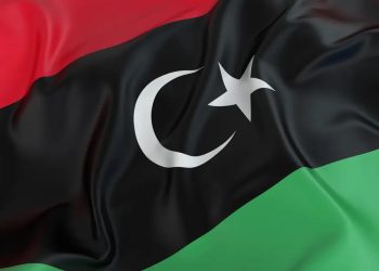 صورة.العربية نت