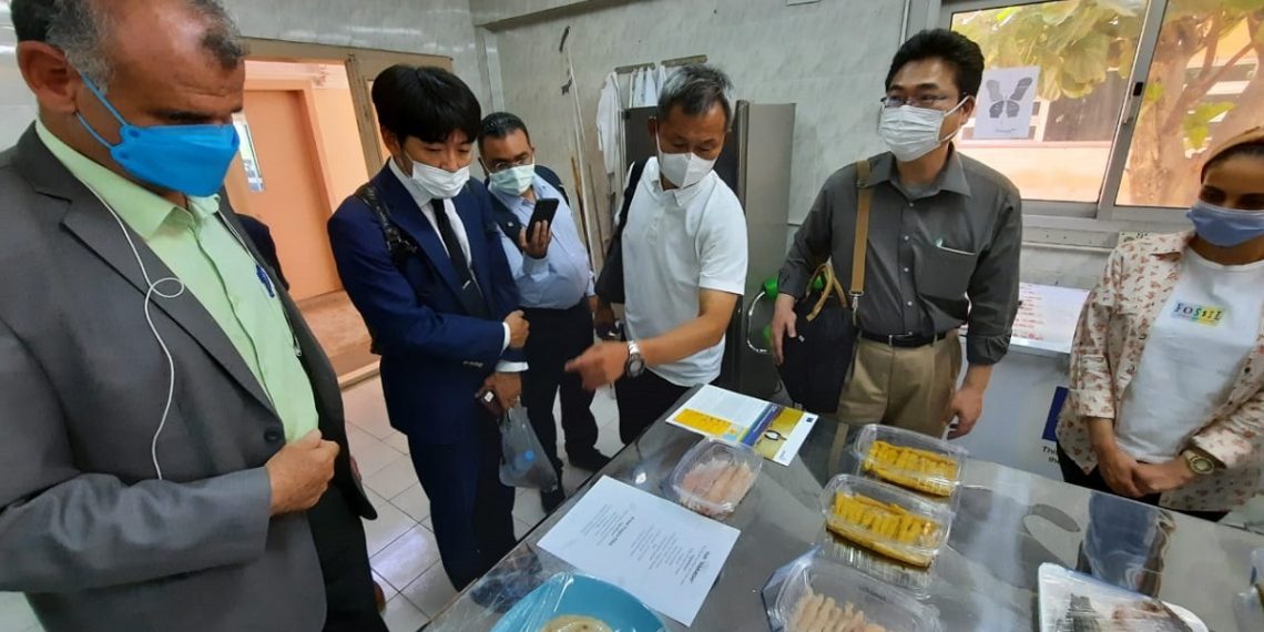 مزارع استزراع سمكي في مصر بالتعاون مع اليابان.صورة.مواقع التواصل الاجتماعي