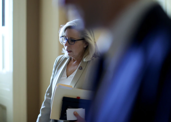 ليز تشيني.صورة.رويترز