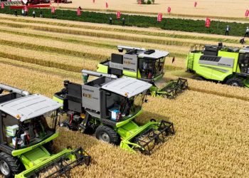 صورة.غلوبال تايمز