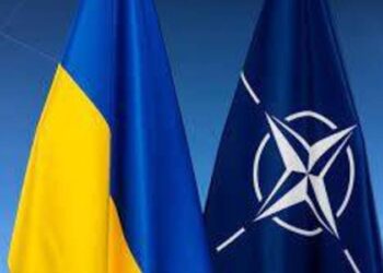 صورة.الخليج أونلاين