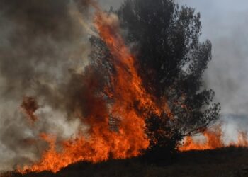 أوروبا.. بين حرارة السياسة وحرارة المناخ