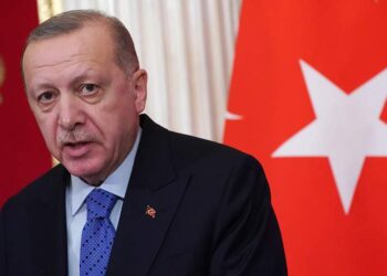 الرئيس التركي، رجب طيب أردوغان.صورة.إزفستيا