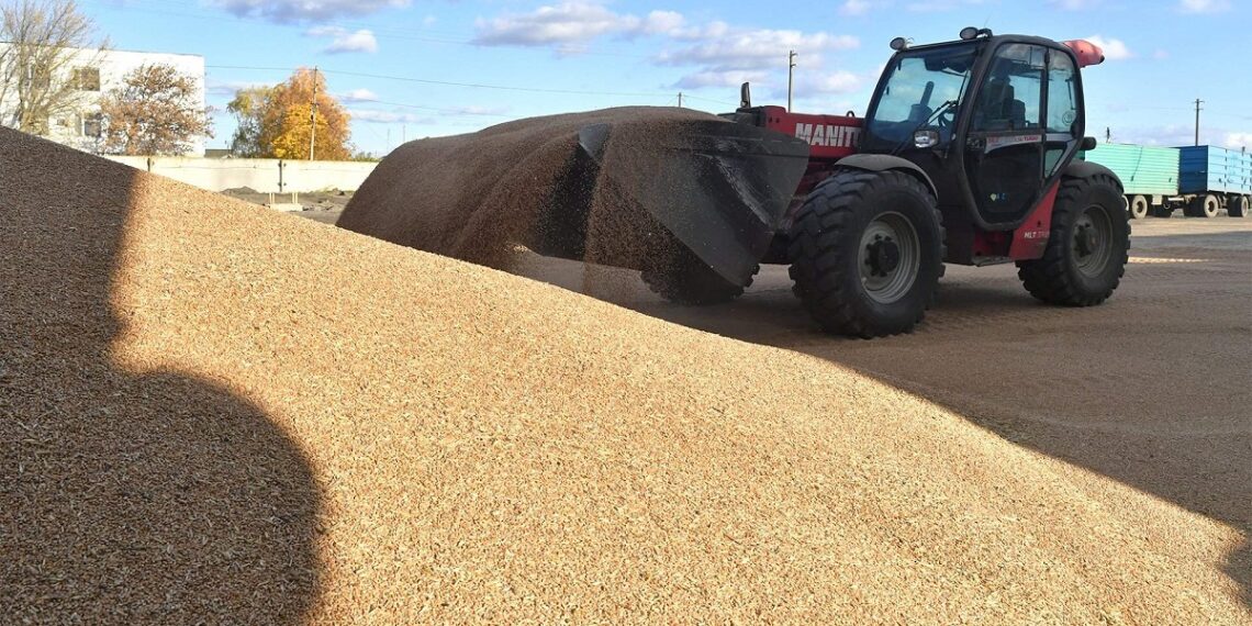 صورة.ريا نوفوستي