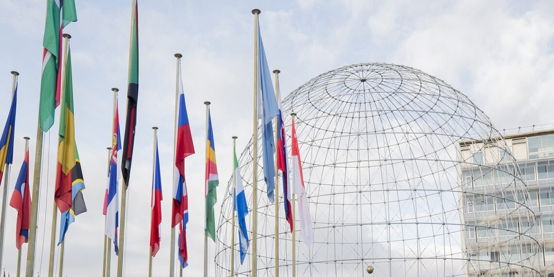 صورة.موقع منظمة اليونسكو