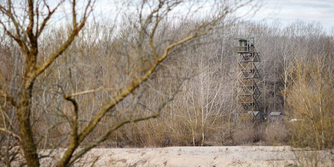 صورة.جلوبال برس