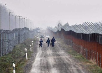 صورة.رويترز