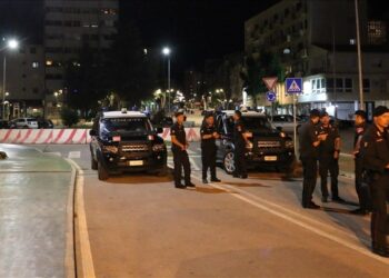 صورة.الميادين