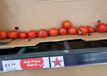 صورة. هسيبريس