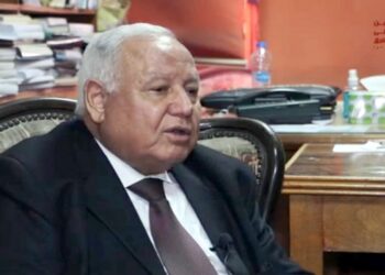 أ.د. سيد فليفل أستاذ التاريخ بكلية الدراسات الإفريقية بجامعة القاهرة