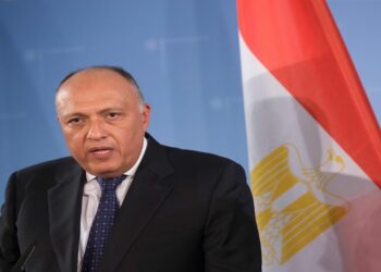 وزير الخارجية المصري، سامح شكري.صورة.أرشيفية