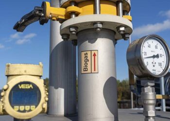 صورة.جلوبال برس