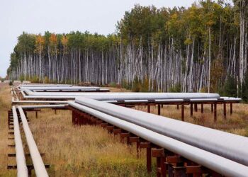 صورة.رويترز