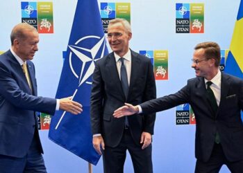 الرئيس التركي رجب طيب أرودغان، والأمين العام لحلف الناتو، ينس ستولتنبرغ، ورئيس الوزراء السويدي أولف كريسترسون.صورة.فيدوموستي