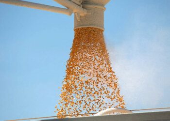 صورة.رويترز