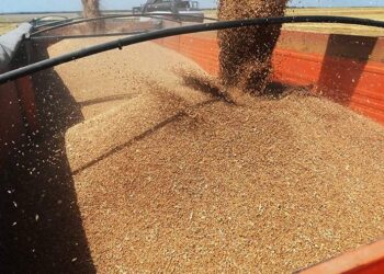 صورة.ريا نوفوستي