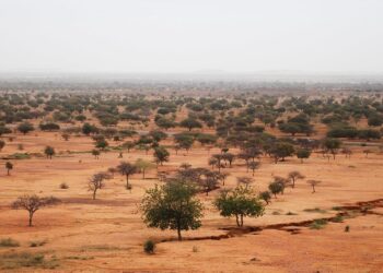 صورة.www.cifor.org