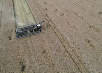 صورة.رويترز