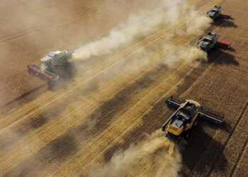 صورة.رويترز