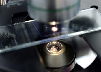 صورة.ريا نوفوستي