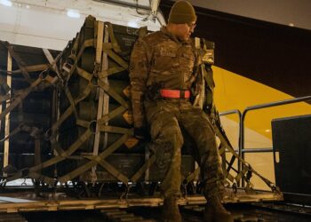 صورة. octagon.media