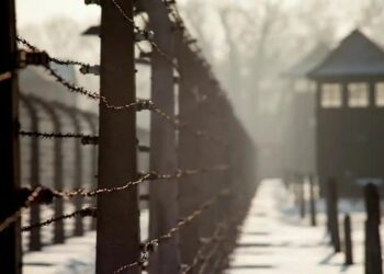 صورة. aussiedlerbote.de