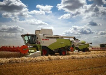 صورة.ريا نوفوستي