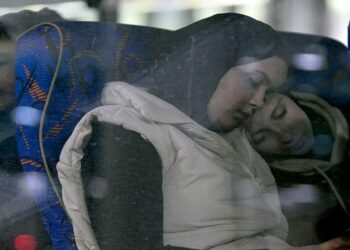 صورة.ريا نوفوستي