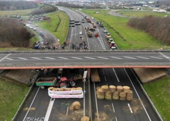 صورة.رويترز