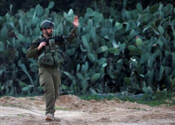 صورة.رويترز