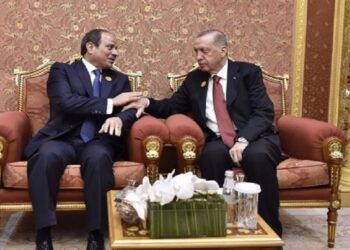 الرئيس المصري، عبدالفتاح السيسي، ونظيره التركي، رجب طيب أردوغان