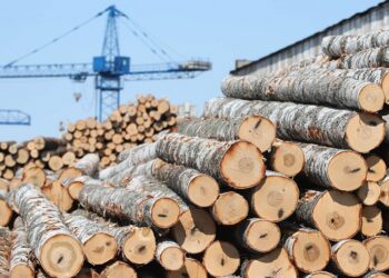 صورة.إزفستيا