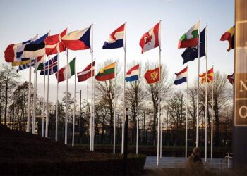 صورة.جلوبال برس