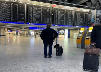 صورة.إرم نيوز