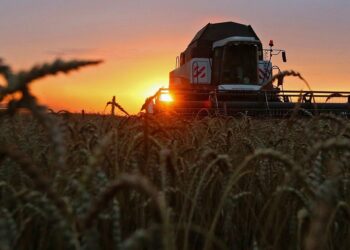 صورة.ريا نوفوستي