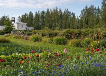 صورة.جلوبال برس