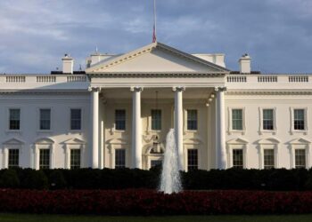 صورة.رويترز