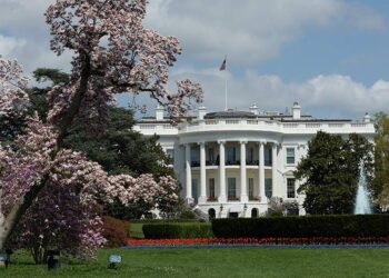 صورة.ريا نوفوستي