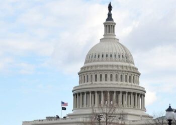 صورة.ريا نوفوستي