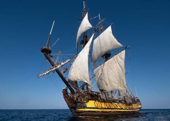 صورة.ريا نوفوستي