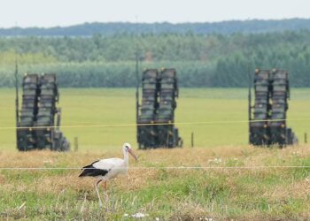 صورة.جلوبال برس