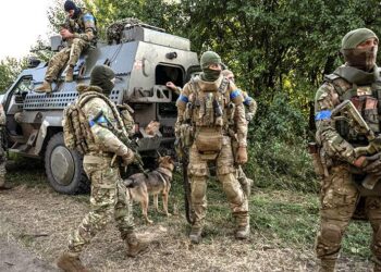 صورة.رويترز