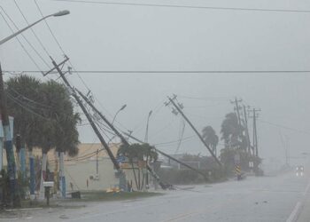 صورة.رويترز