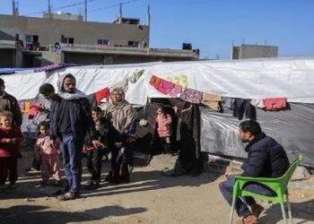 صورة.وكالة وام