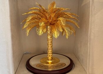 باكستان: الغرفة الاجتماعية الدولية – تطوير المشاريع مع بلدان العالم الإسلامي