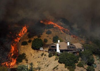 صورة.رويترز