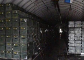 صورة.ريا نوفوستي