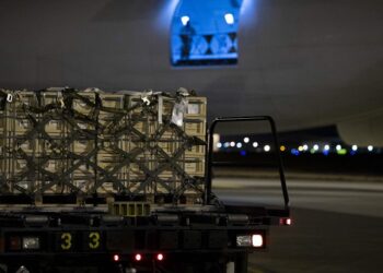 صورة.جلوبال برس