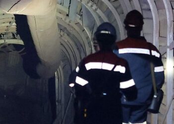 صورة.ريا نوفوستي